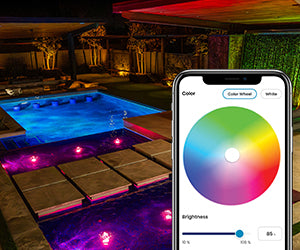 Pentair IntelliVibe Micro LED Light (P/N: 602280)