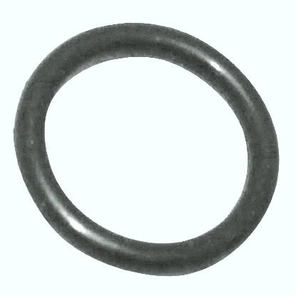 Delta UV Sanitizer Bulb O-Ring (P/N: DUC-451-1018) - Aqua-Tech