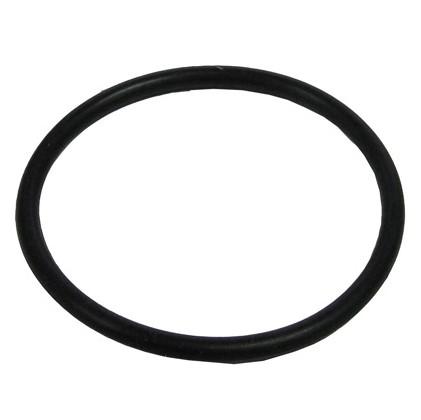 Fibrestars Lens O-Ring (P/N: A8891) - Aqua-Tech 