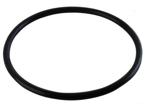 Hayward Chlorinator O-Ring (P/N: CLX200K) - Aqua-Tech 
