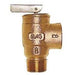 Jandy/Teledyne Laars Pressure Relief Valve (P/N: 10-417-10) - Aqua-Tech 