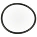 Pentair IntelliChlor Union O-Ring (P/N: 521147) - Aqua-Tech 