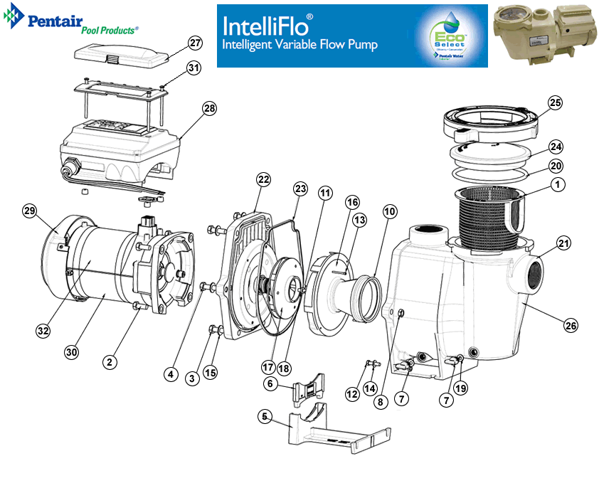 Pentair IntelliFlo Pump Drain Plug (P/N: 357161Z)