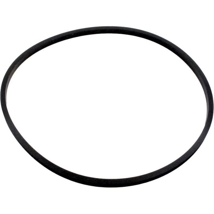Pentair Square Volute Gasket for MaxEpro Pump (P/N: 357099Z)