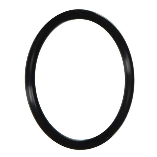 Pentair/Sta-Rite Dyna-Pro Diffuser O-Ring (P/N: U9-374) - Aqua-Tech
