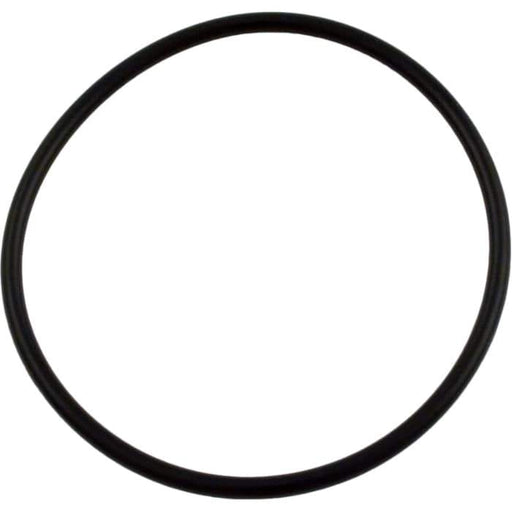 Pentair/Sta-Rite IntelliPro Lid O-Ring (P/N: 350013) - Aqua-Tech 