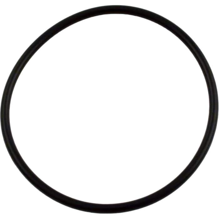 Pentair/Sta-Rite IntelliPro Lid O-Ring (P/N: 350013) - Aqua-Tech