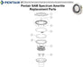 Pool Parts - Pentair Underwater Light Retaining Screw (P/N: 619355)