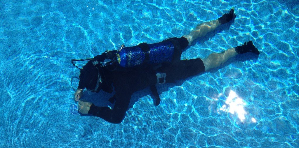 Dive Pool and Inspect for Leaks (sku SVC2208c)